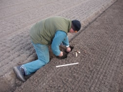 Planting the Bulbs